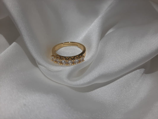 Anello acciaio rivetta