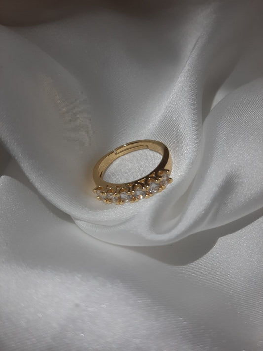 Anello acciaio rivetta